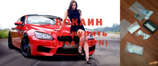 стаф Горняк