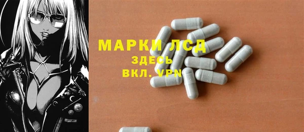 стаф Горняк