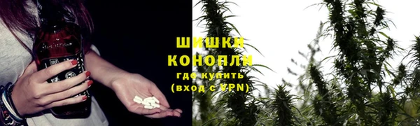бутират Горнозаводск