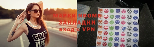 стаф Горняк