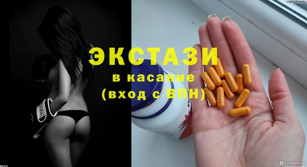 стаф Горняк