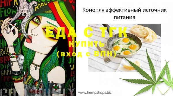 стаф Горняк
