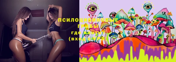 герыч Гусь-Хрустальный